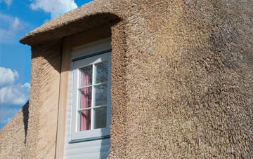Petty France thatch roof disadvantages